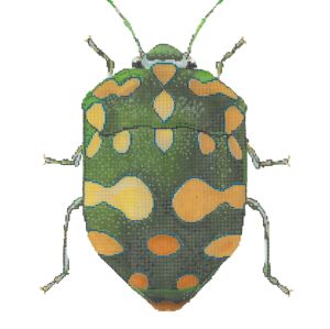 Little Bugs - Green & Yellow (Meredith Collection)