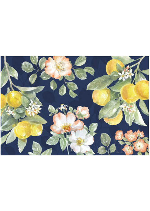 Citrus Charm Blue (Oasis Needlepoint)