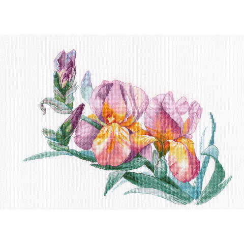 Golden Irises (Oven)