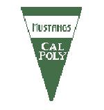 Cal Poly Mustangs (Kathy Schenkel)