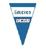 UCSB Pennant (Kathy Schenkel)