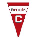 USC Gamecocks Pennant (Kathy Schenkel)