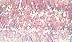 ES36 Opalescent Light Pink - Estaz Yarn