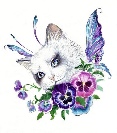 Pansy Fairy Kitty (Gabriella Szabo)