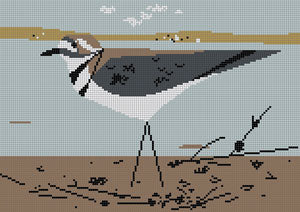 Killdeer (Charley Harper)