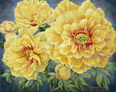 Yellow Peonies (Marianne Broome)