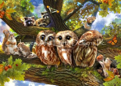 Out On A Limb/Mini (Aimee Stewart)
