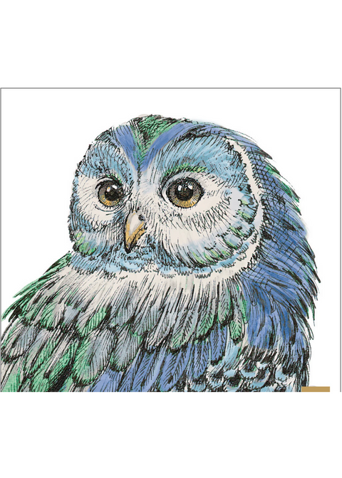 Peacock Beautiful Owl - 18M (Oasis Needlepoint)