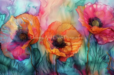 Trio of Poppies (Peggy Collins)