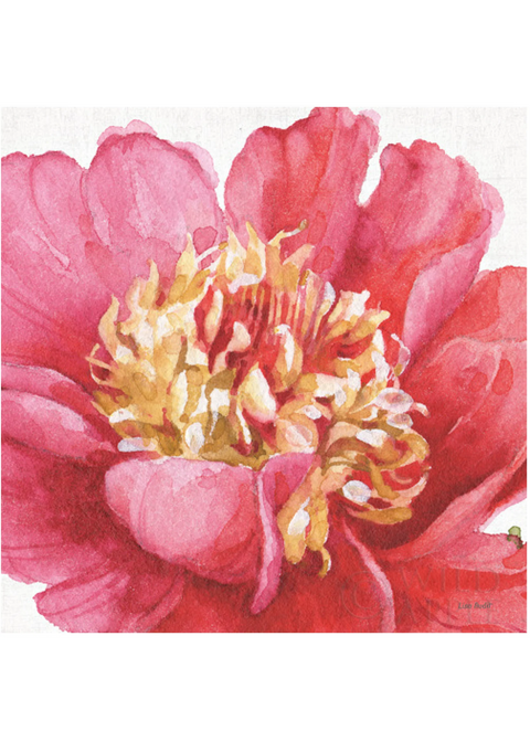 Pink Garden - 18M (Oasis Needlepoint)