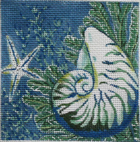 Shark Eye Shell Square (PLD Designs)