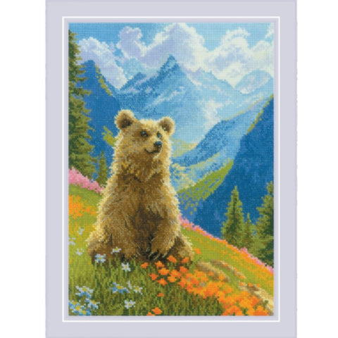 Clumsy Bear (Riolis)