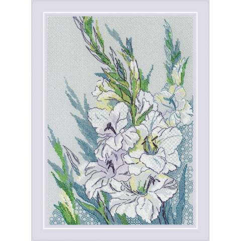 White Gladioli (Riolis)