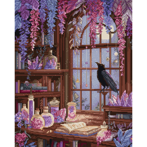Raven’s Library (Letistitch)