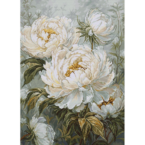 Light of Spring Peonies, The - Aida (Luca-S)