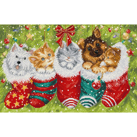Dogs and Cats in Stockings (Letistitch)