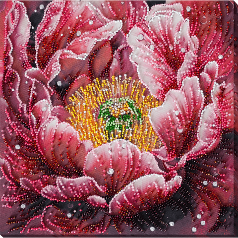 Dew Kiss (Abris Art)