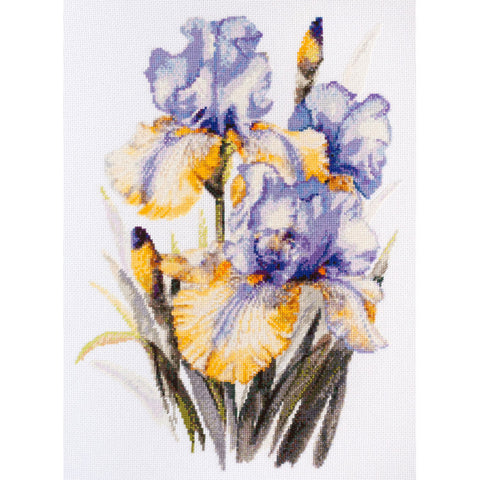 Irises (Abris Art)