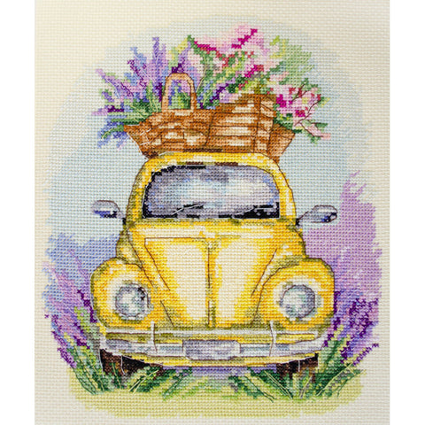 Adventures of Provence (Abris Art)