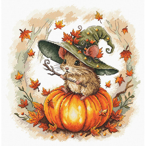 Little Wizard (AVA Stitch)