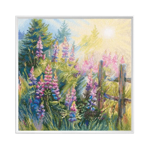 Lupine Summer (RTO)