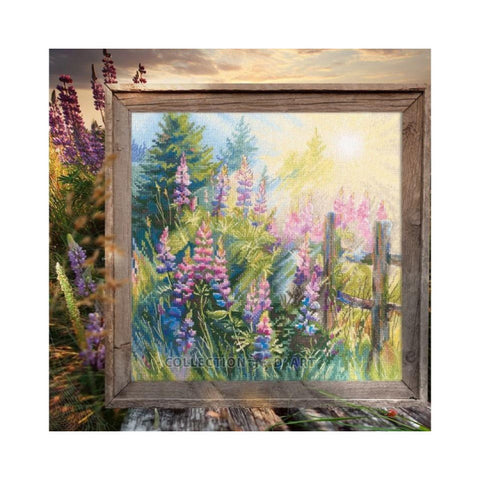 Lupine Summer (RTO)