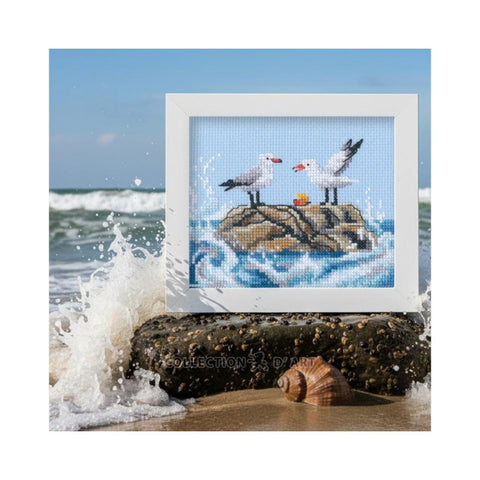 Seagulls on Rock (RTO)