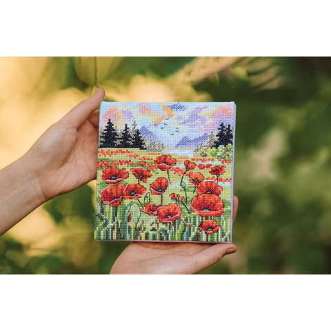 Poppy Summer (Golden Fleece)