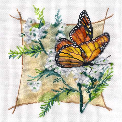 Composition - Butterfly 2 (Oven)