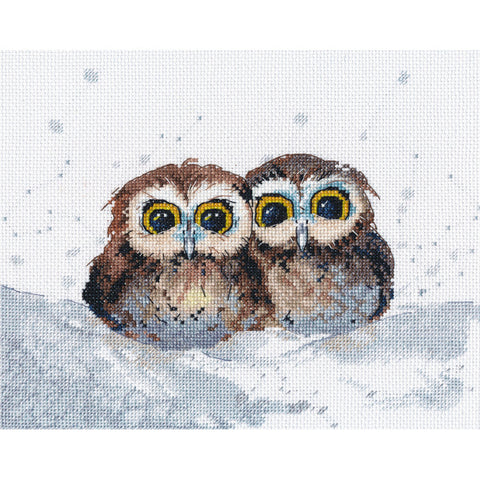 Owl's Gatherings (Oven)