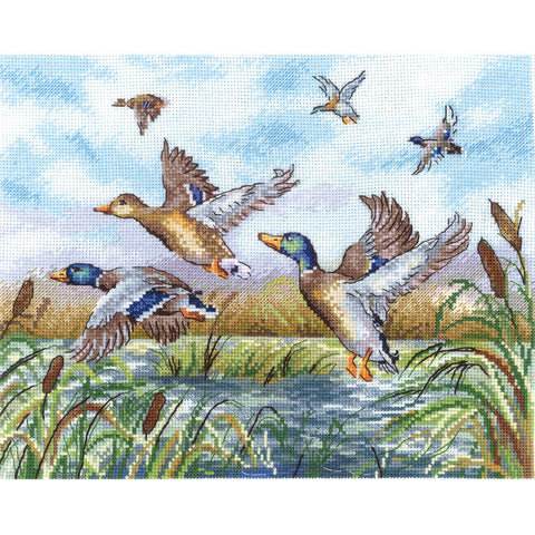 Ducks Are Flying, The (Andriana)