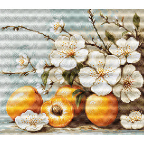 Apricot blossom (Luca-S)
