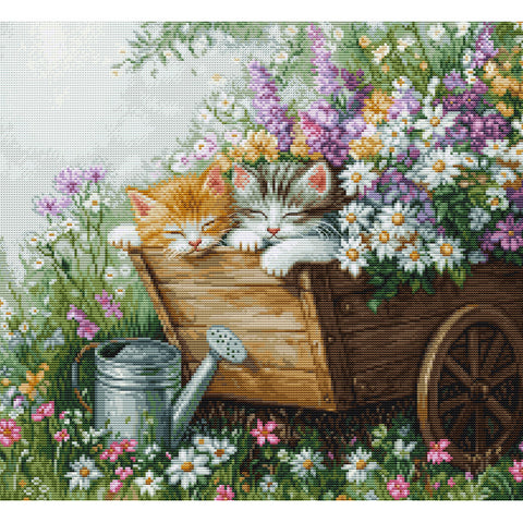 Sleeping Kitten (Luca-S)