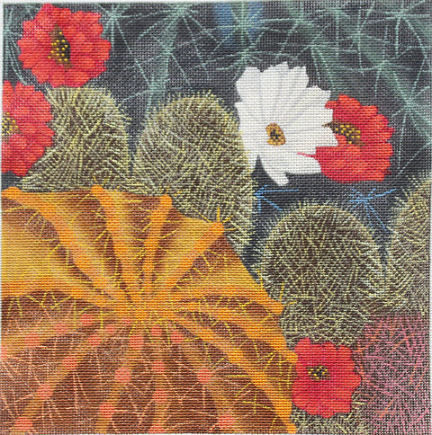 Desert Blooms I (PLD Designs)