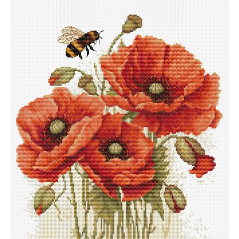 Splendor of Summer Poppies, The (Luca-S)