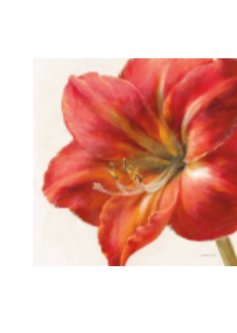 Vivid Amaryllis (Oasis Needlepoint)