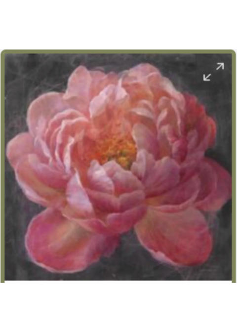 Vivid Floral (Oasis Needlepoint)