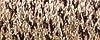 071 Misty Gold - Kreinik #4 Braid