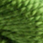 3346-Hunter Green - DMC Pearl Cotton Skeins Size 3