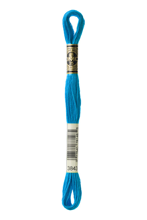 DMC3843-Electric Blue - DMC Floss