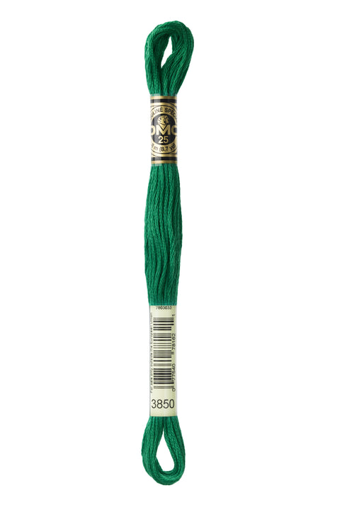 DMC3850-Dark Bright Green - DMC Floss