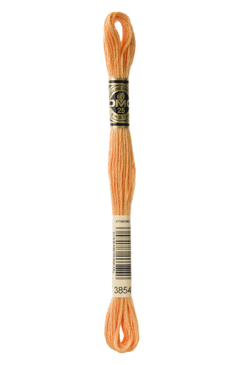 DMC3854-Medium Autumn Gold - DMC Floss