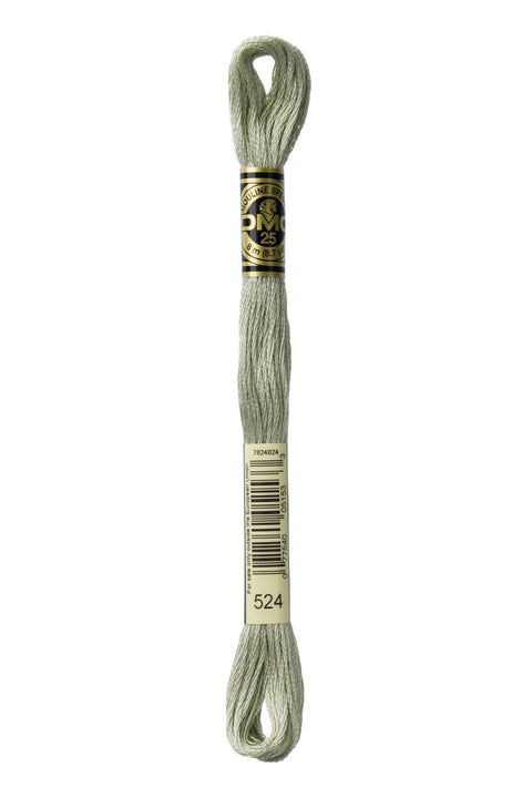 DMC524-Very Light Fern Green - DMC Floss