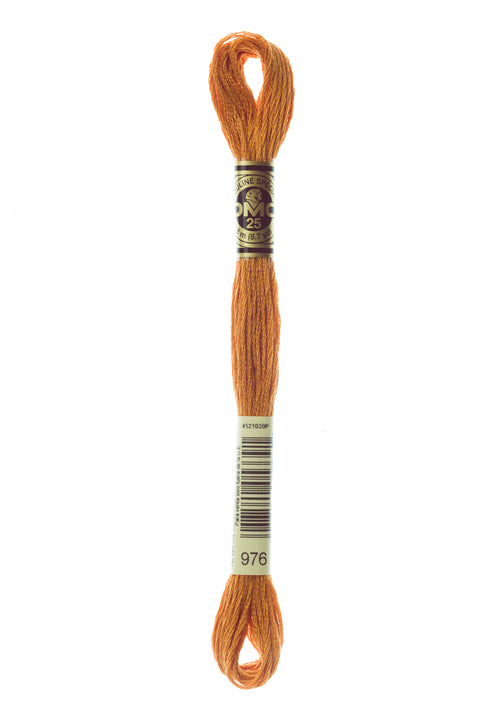 DMC976-Medium Golden Brown - DMC Floss