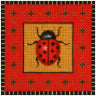 Lady Bug