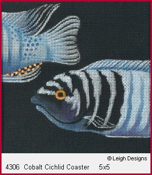 Cobalt Cichlid Coaster
