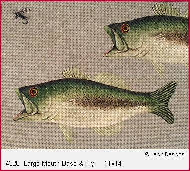 Large Mouth Bass & Fly