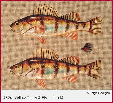 Yellow Perch & Fly