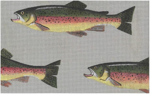 Rainbow Trout  