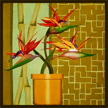 Bird of Paradise